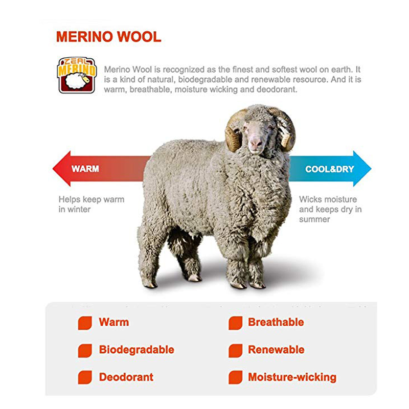 ZEALWOOD Hiking Trekking Men's - đánh giá và giá Thermal Sock Wool
